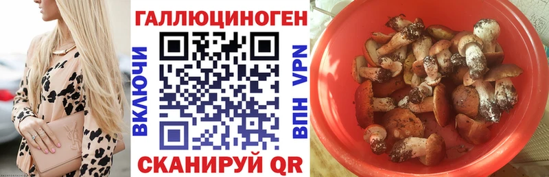 Псилоцибиновые грибы MAGIC MUSHROOMS Тихорецк