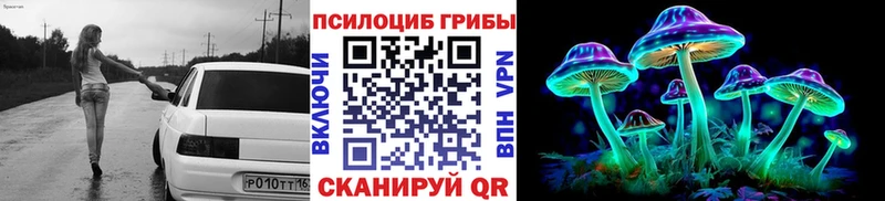 где найти   Тихорецк  Псилоцибиновые грибы мицелий 